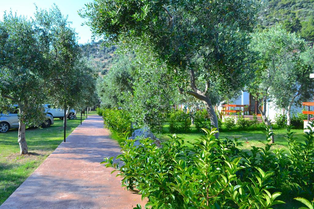 Agriturismo Antichi Ulivi Mattinata Luaran gambar