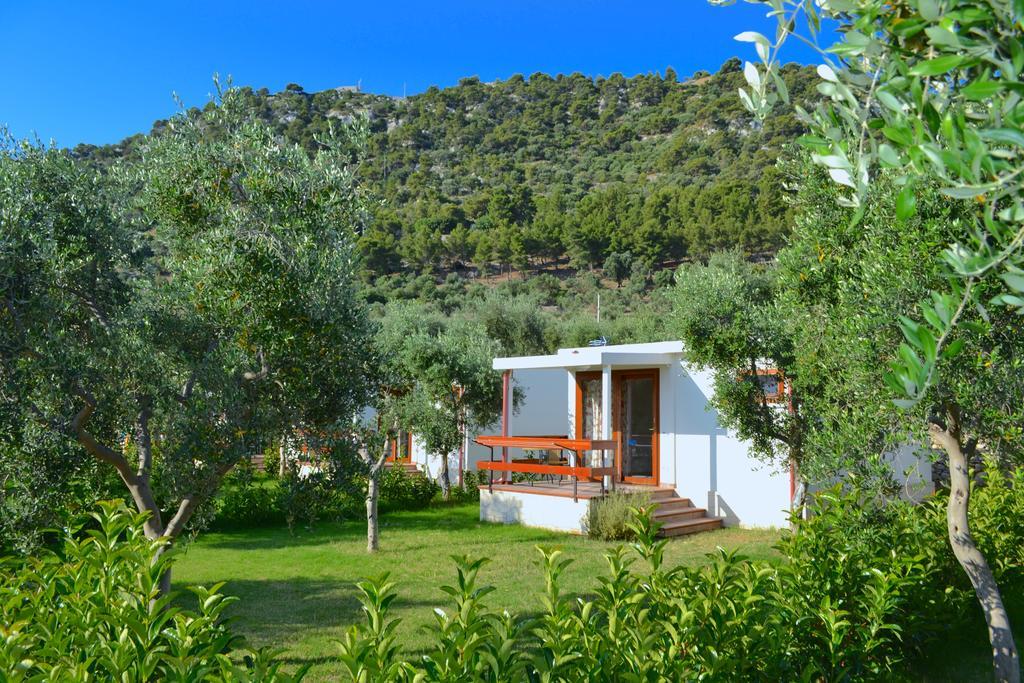 Agriturismo Antichi Ulivi Mattinata Luaran gambar