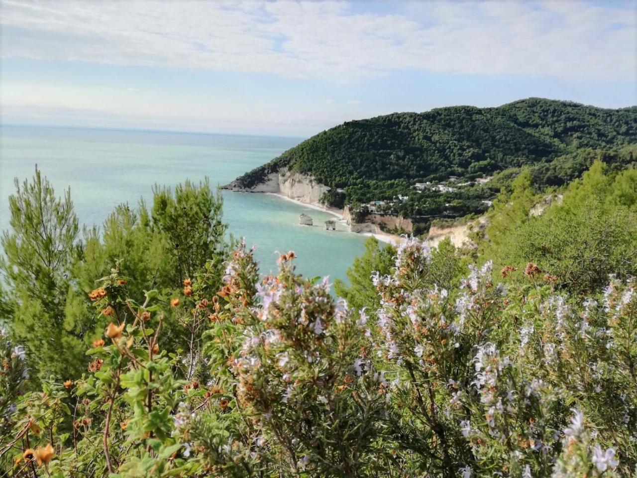Agriturismo Antichi Ulivi Mattinata Luaran gambar