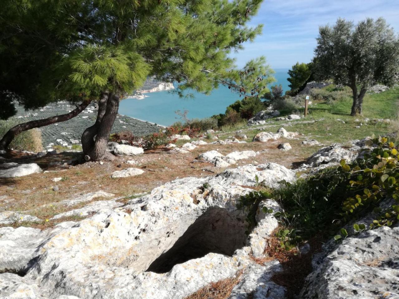 Agriturismo Antichi Ulivi Mattinata Luaran gambar