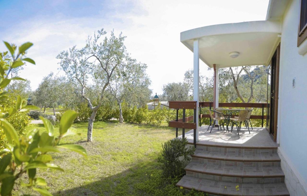 Agriturismo Antichi Ulivi Mattinata Luaran gambar